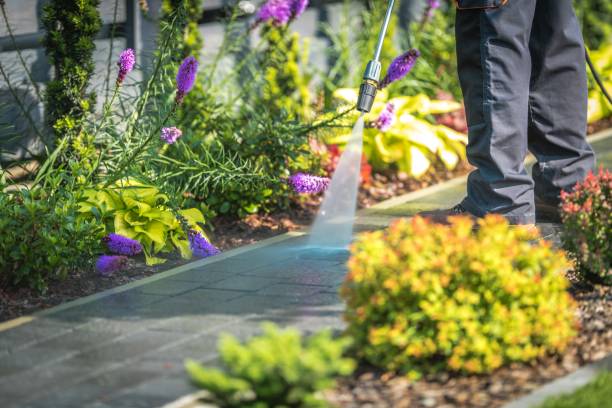 Best Winterizing Services  in Amory, MS
